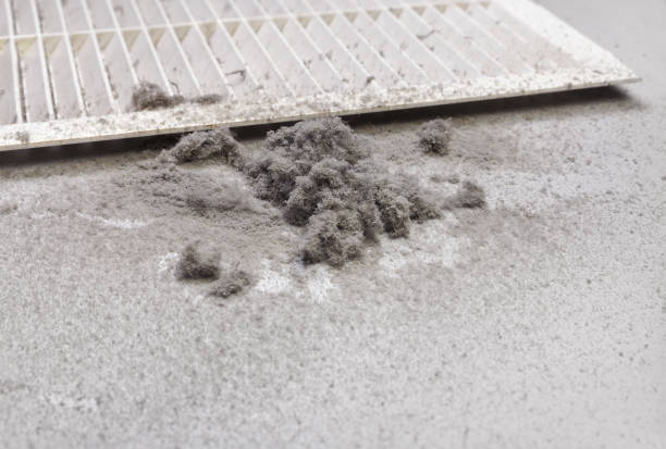 Best Ductwork Cleaning Services  in Apollo Beach, FL