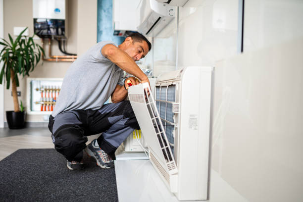 Best Home Air Vent Cleaning  in Apollo Beach, FL