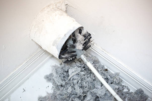 Professional Airduct Cleaning in Apollo Beach, FL